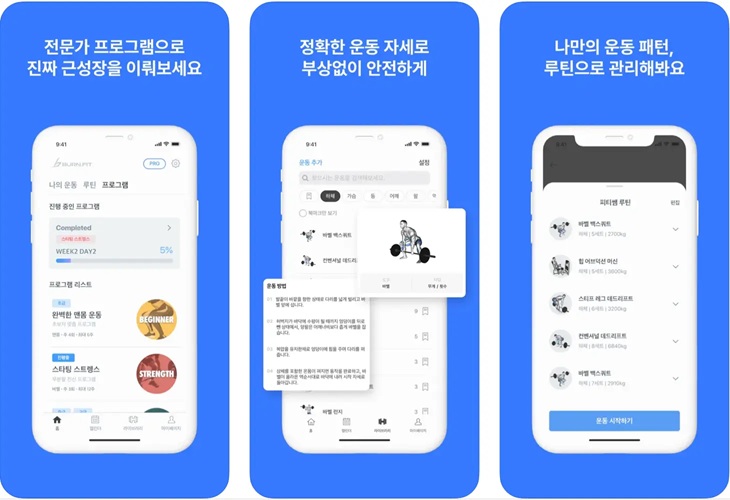 번핏