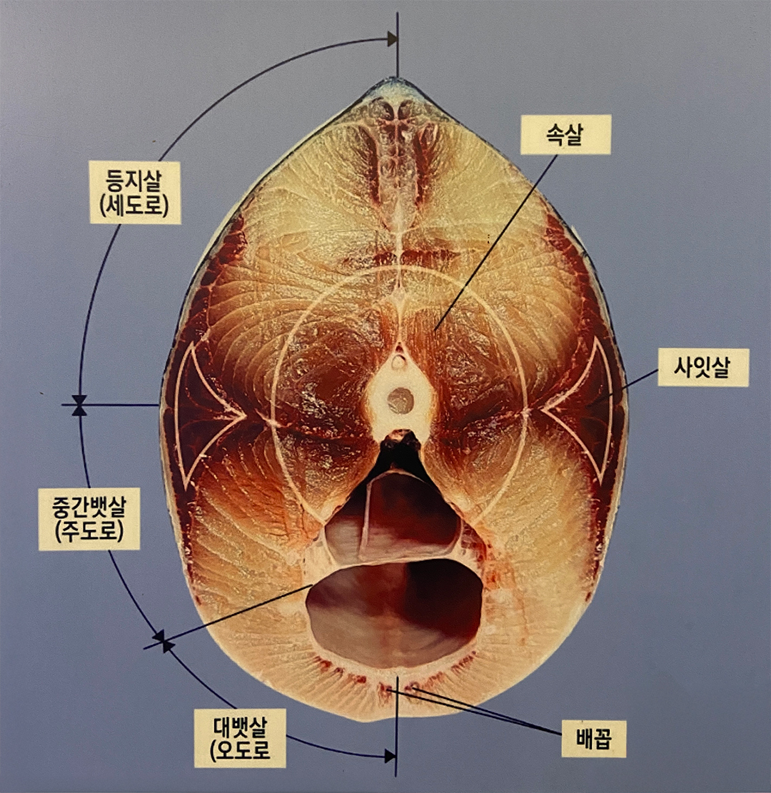 대방어 부위별 이름