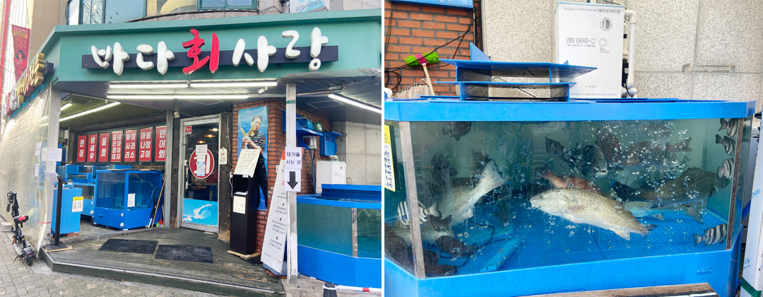 바다회사랑 입구와 수조