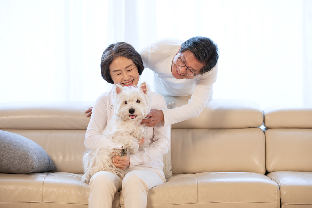 사람과 반려동물 사진