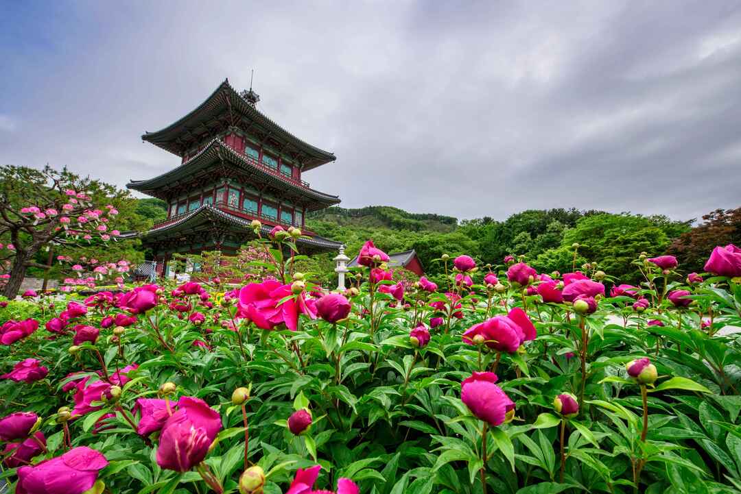 보탑사