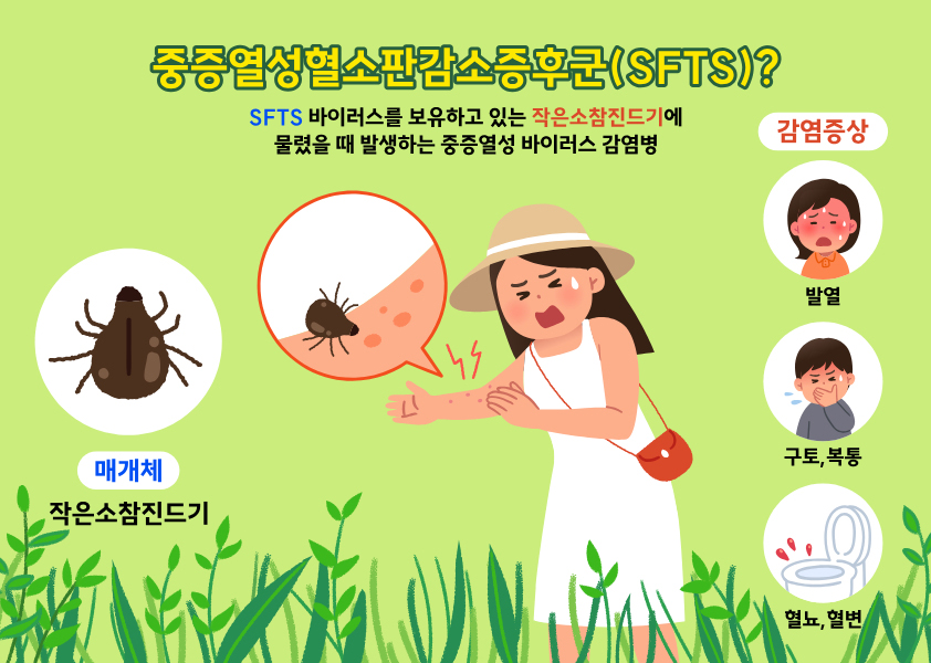 SFTS 이미지