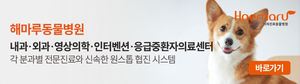 해마루동물병원