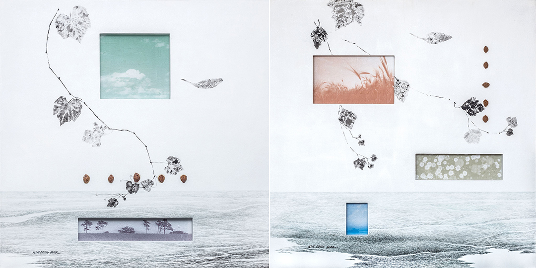 <씨알의 꿈, 씨알, 혼합재료, 122X122cm, 2014>