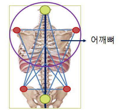 어깨 밸런스의 구조