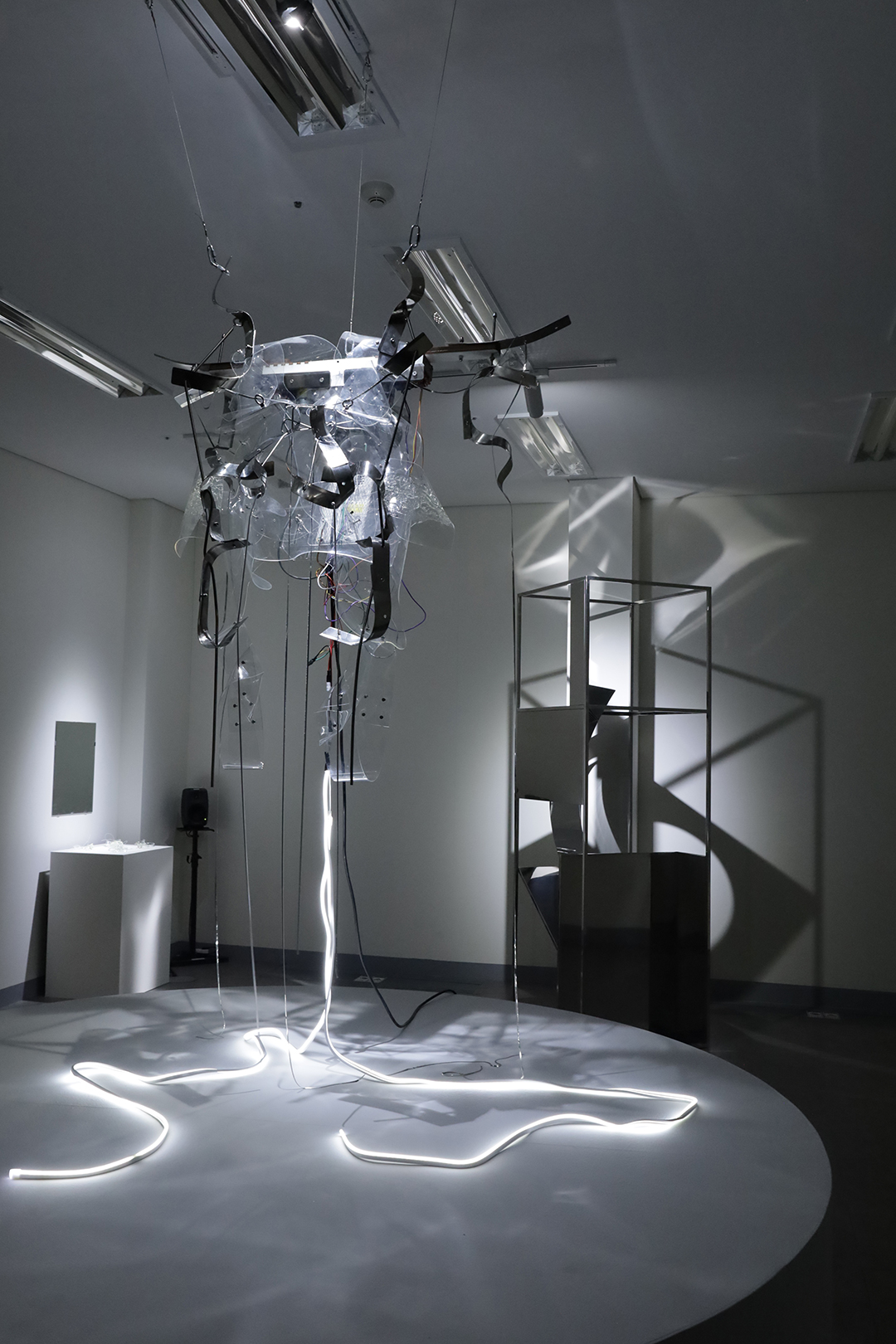 <하카손, Crip Body, 메탈, 레진, 모터, 조명, 압축 스프링, PVC, 가변설치, 2024>