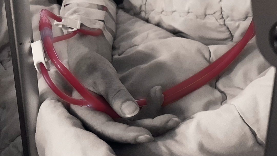 <황민규, pulse, 단채널 영상, 컬러, 사운드, 00:15:51, 2025>