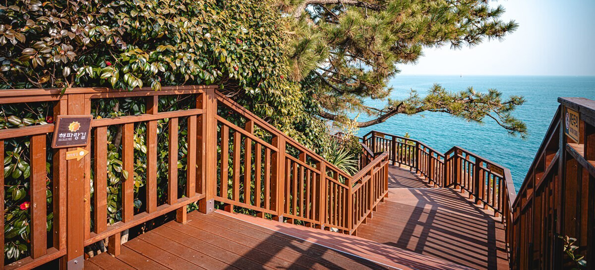 동백섬 ⓒ비짓부산